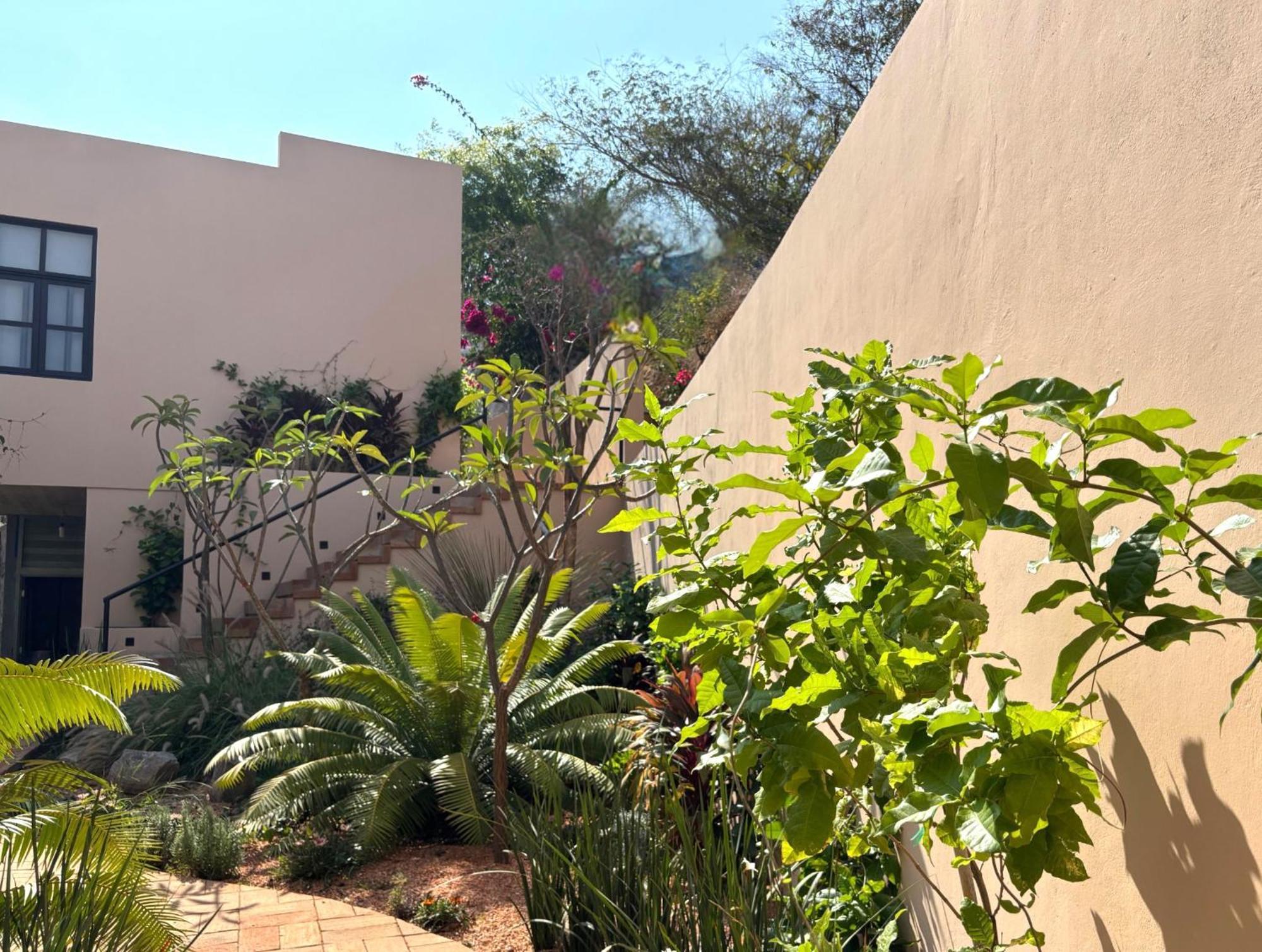 מזונטה Casa Las Almas מראה חיצוני תמונה