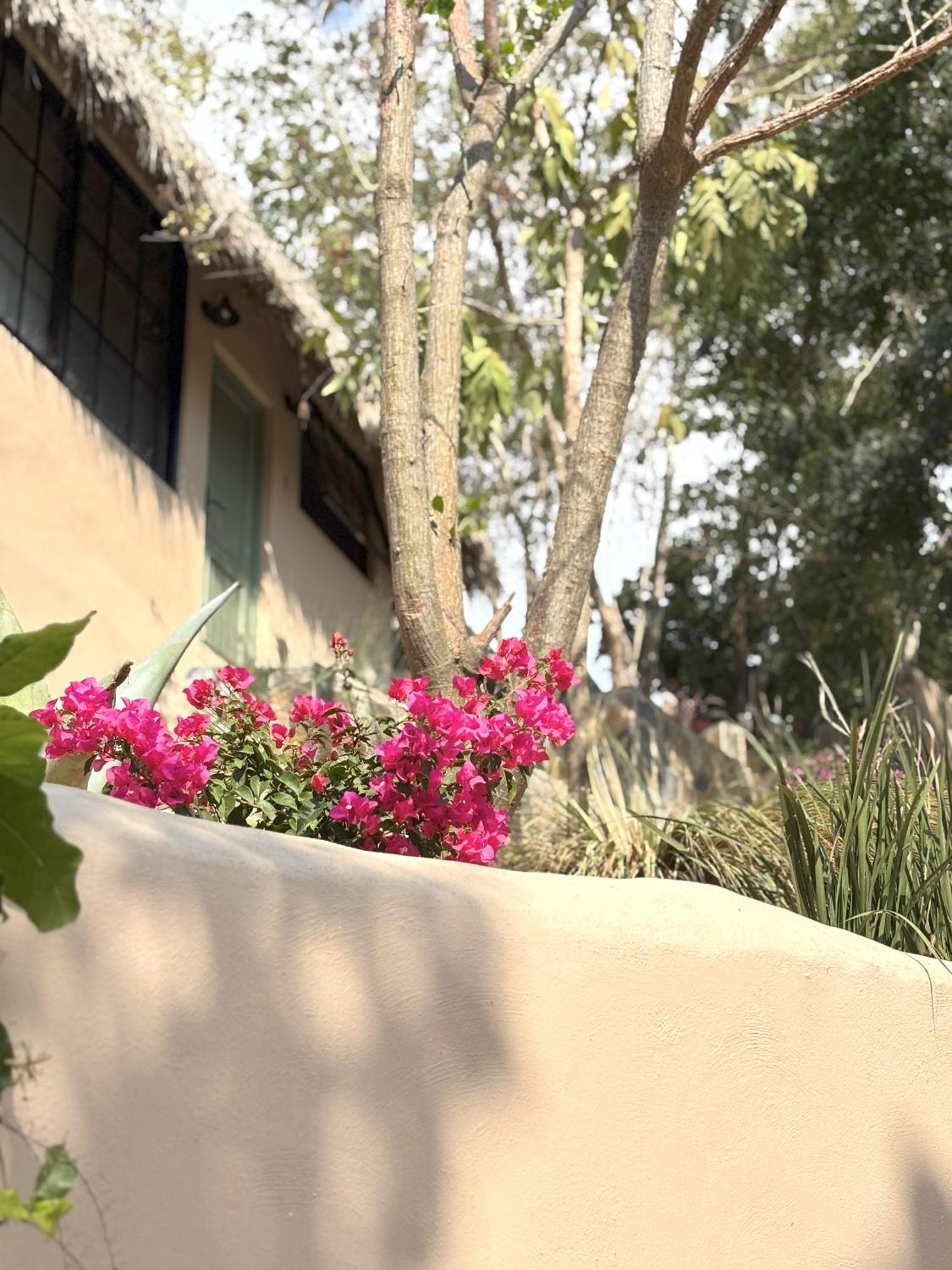 מזונטה Casa Las Almas מראה חיצוני תמונה